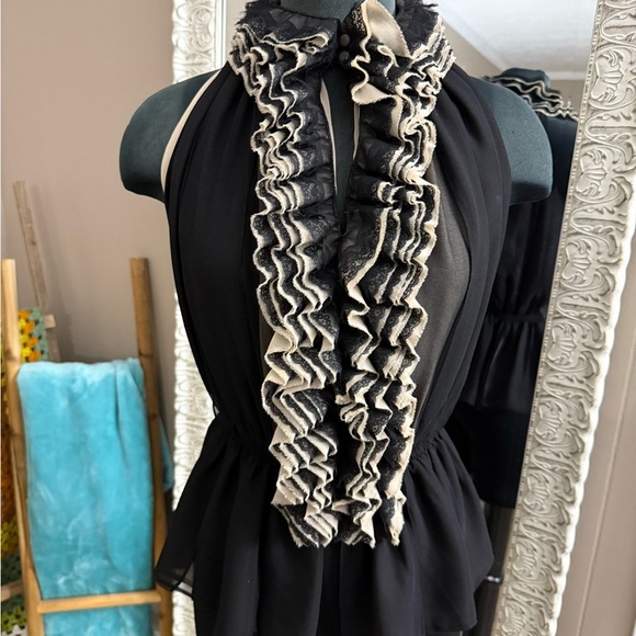 Robert Rodriguez • Neiman Marcus • Target • Victorian Ruffle Blouse - Picture 10 of 13